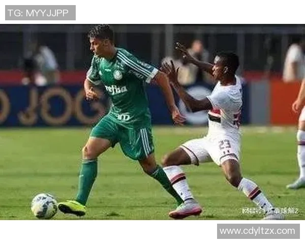 深入分析深圳飞盘队防守策略与战术特点的专业解读 深入分析深圳飞盘队防守策略与战术特点的专业解读