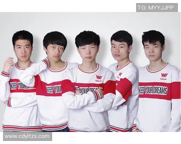 王者荣耀赛事分析：深入探讨WE战队近期状态与表现变化