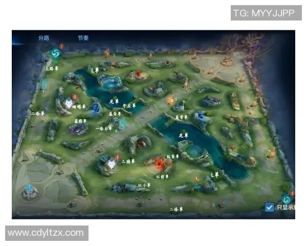 王者荣耀新手必看状态入门指南助你快速上手游戏技巧与策略